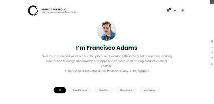 Perfect Portfolio Perfect Portfolio is perfect for freelancers, photographers, and digital marketers to showcase their work in a professional way.