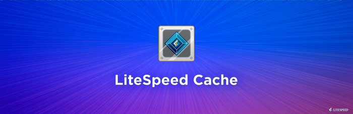 LiteSpeed Cache LiteSpeed Cache for WordPress is ne of the best WordPress speed optimization plugins.