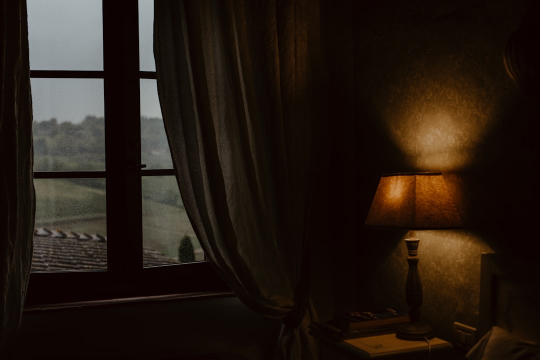 a lamp next to a window soft window light video lighting person filming cozy room