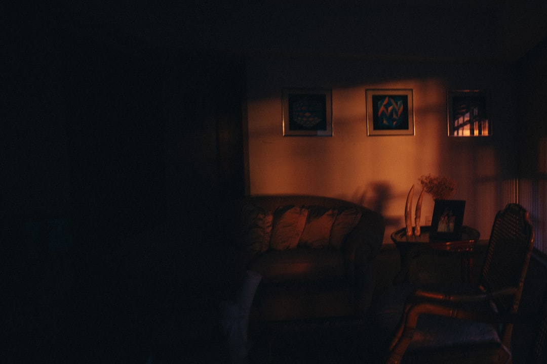 dimly lit living room with framed art on wall soft window light video lighting person filming cozy room 1