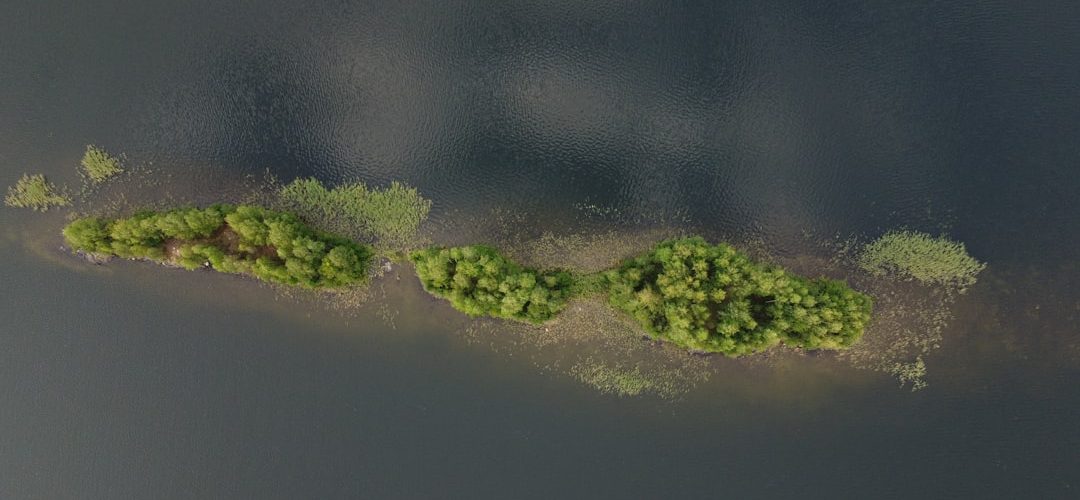 green moss on gray surface uv layout overlapping islands texture distortion