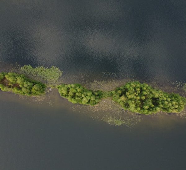 Why Substance 3D Painter Materials Disappear After Import: Texture Set, Shader, and UV Fixes That Actually Work 8 green moss on gray surface uv layout overlapping islands texture distortion