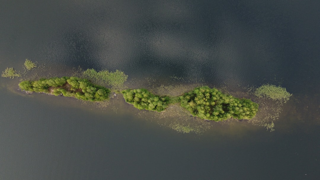 green moss on gray surface uv layout overlapping islands texture distortion