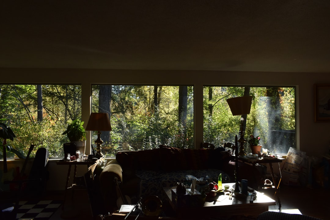 sunlight streams into a room overlooking trees soft window light video lighting person filming cozy room