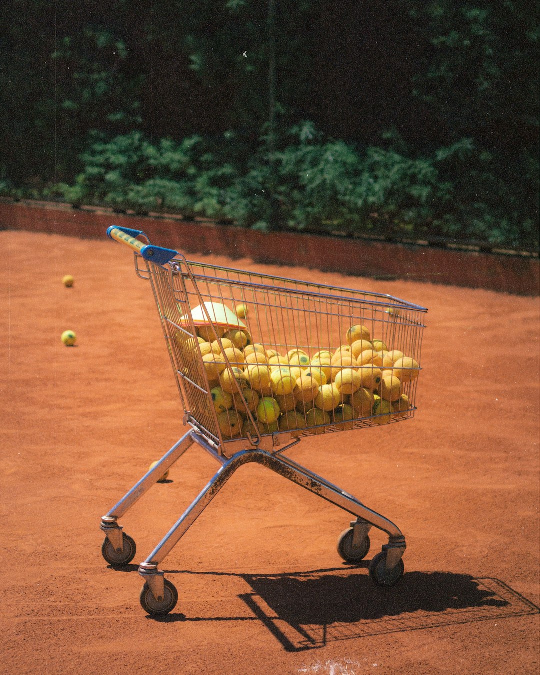 yellow fruits on shopping cart shopping cart recipe book sports chart geometry shapes