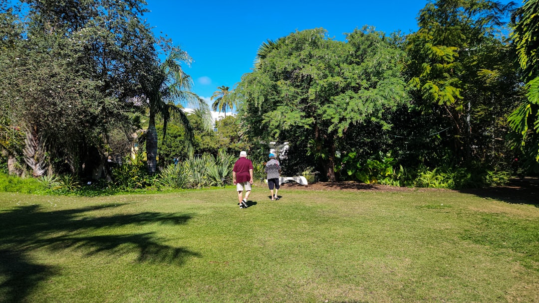 a man and a dog are walking in the grass disc golf putting player focus sunny park basket chains