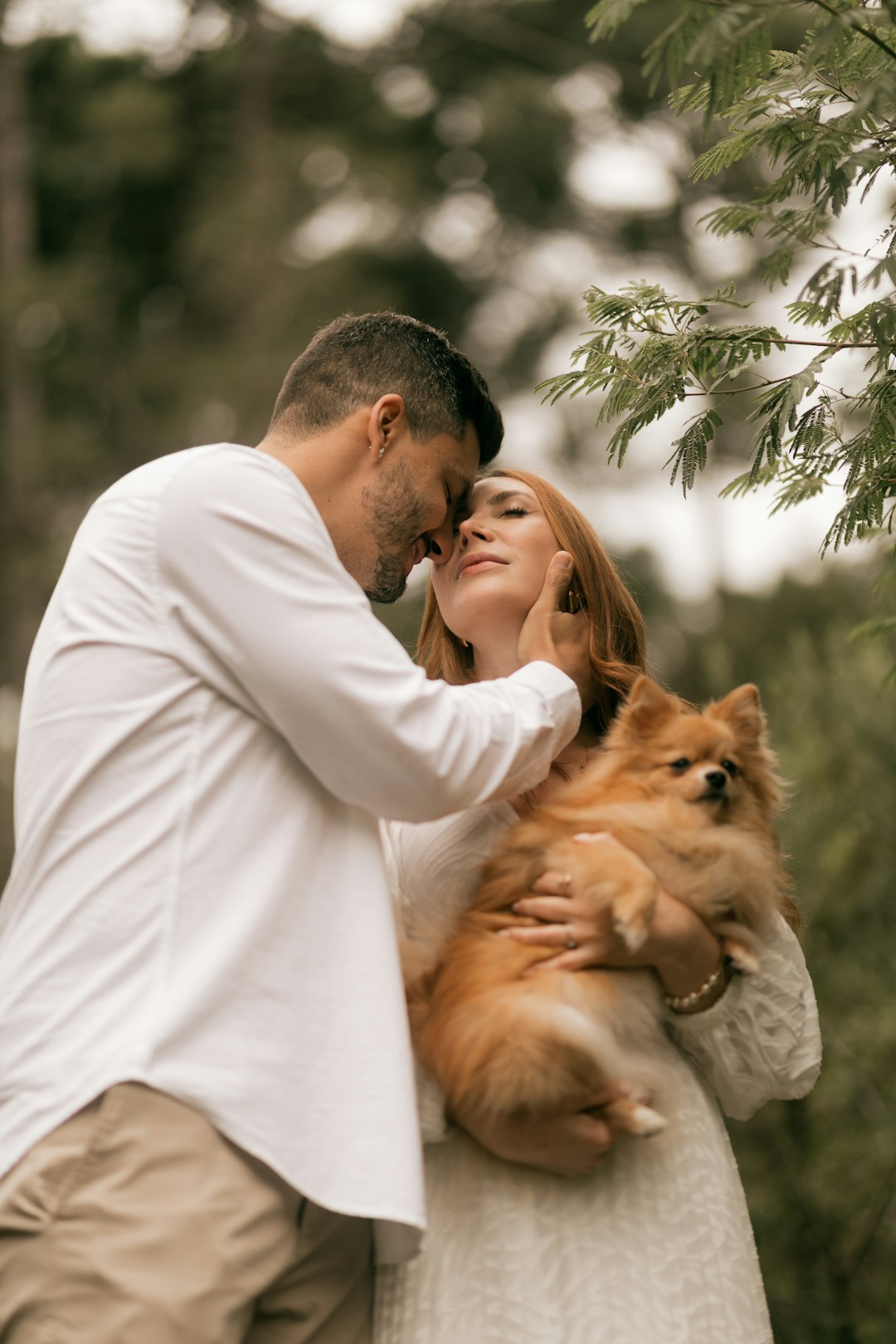 couple embracing outdoors with their fluffy dog happy couple dog engagement sign park