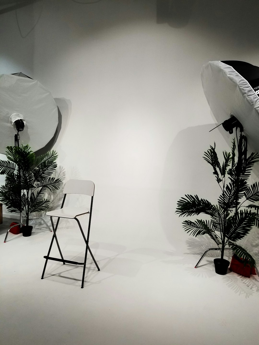 green plant on black pot on table behind the scenes shoot creative team studio setup
