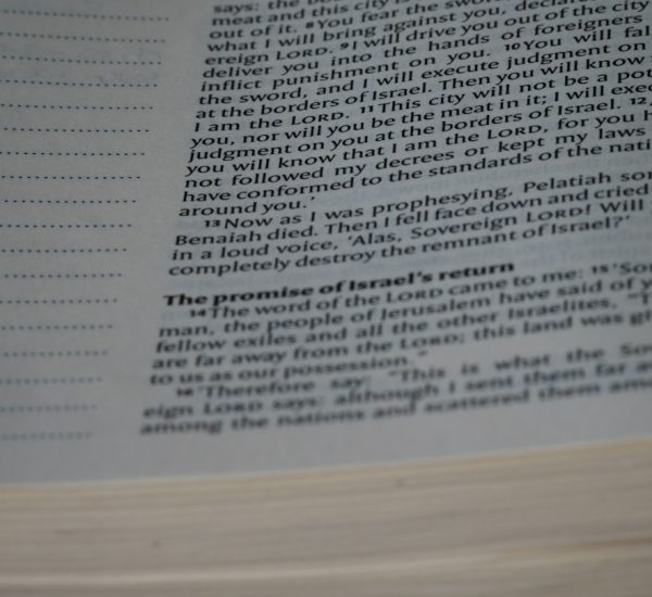 How to Insert a Footnote in Google Docs on Desktop and Mobile 8 a close up of an open book with text research paper citations footnotes page
