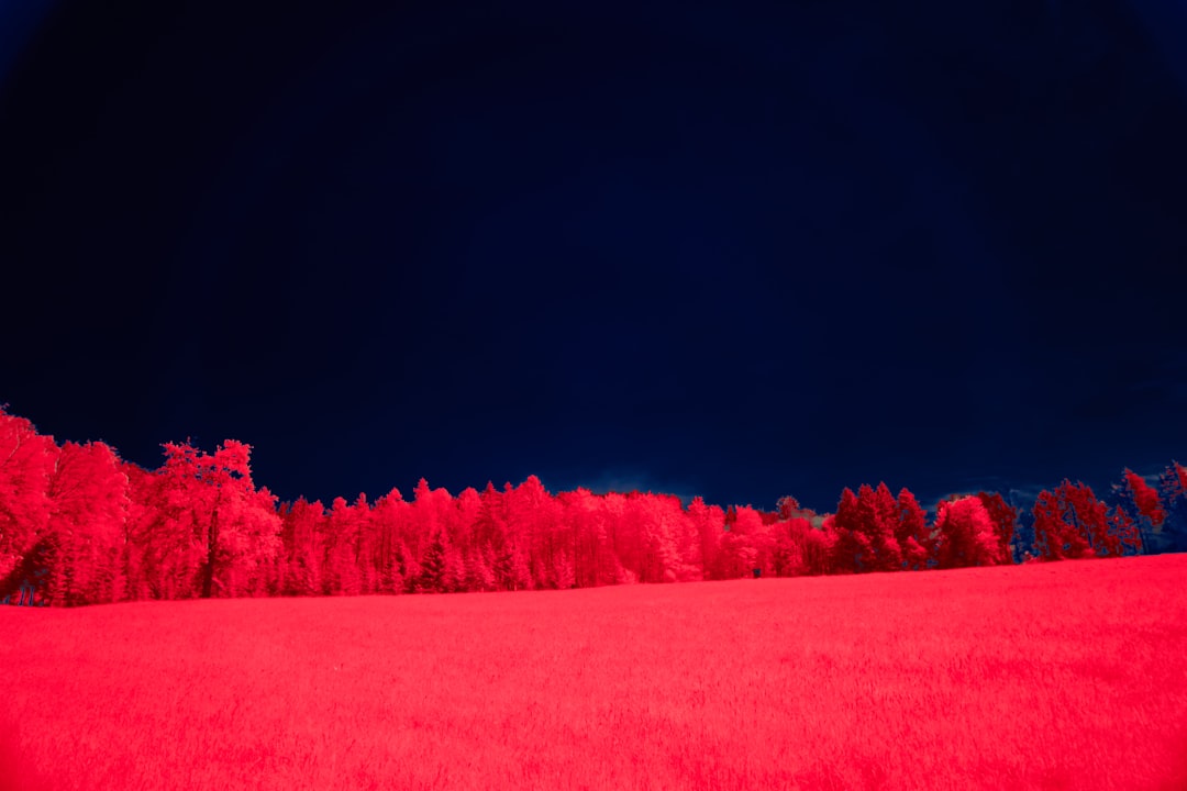 a field with trees in the background and a red light in the foreground infrared spectrum visible light camera sensor