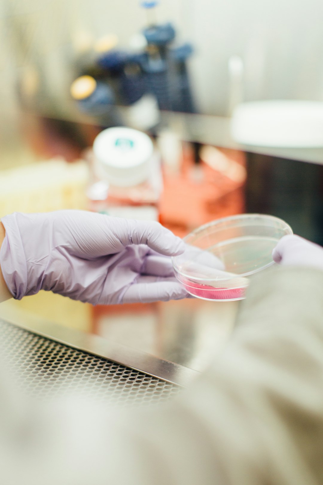 person holding round clear container single cell analysis immune cells laboratory research