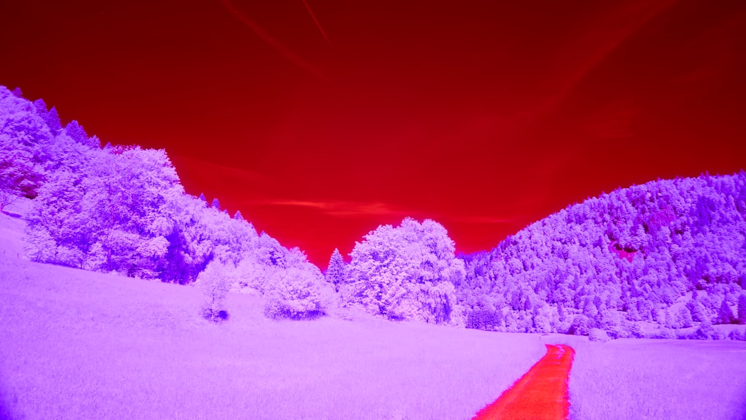 purple snowy landscape under a red sky with orange foreground infrared spectrum visible light camera sensor