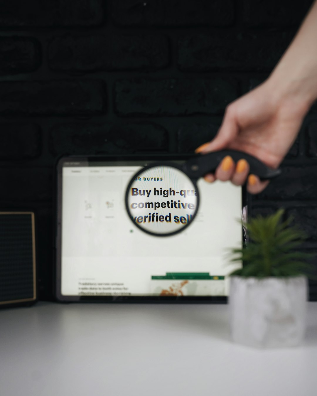 white and green labeled box competitor analysis serp results content gaps
