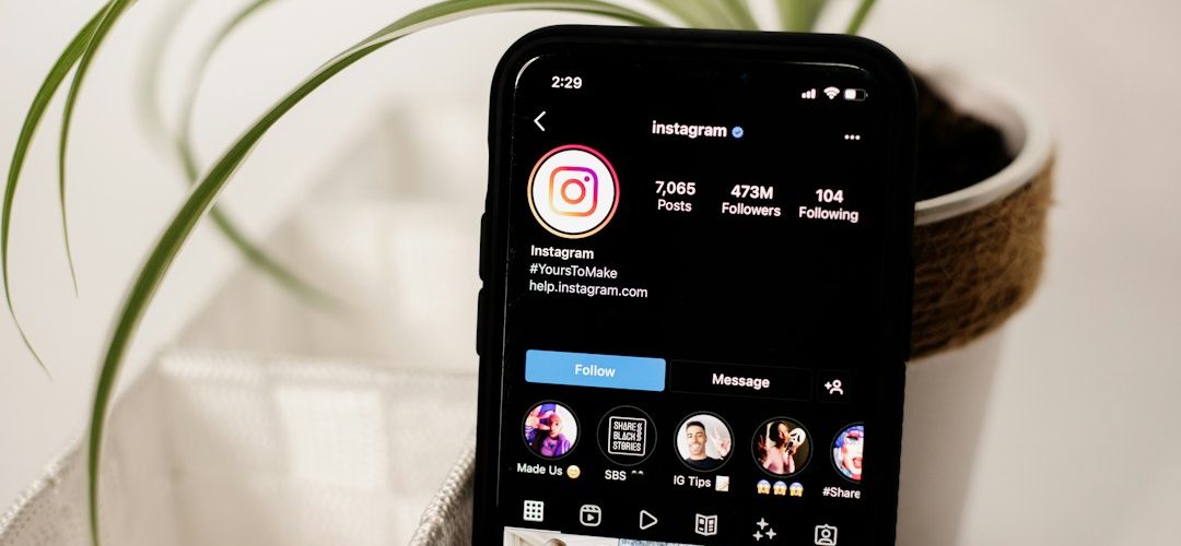 a cell phone sitting on top of a table next to a potted plant instagram analytics follower growth chart social media metrics